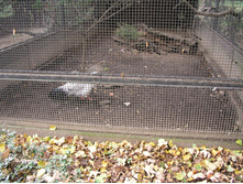 28.09.2008 15:26:06