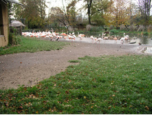 28.09.2008 15:26:32