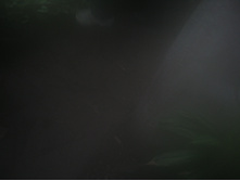 28.09.2008 15:42:08