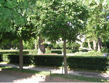 29.09.2008 7:52:59