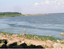29.09.2008 8:02:03