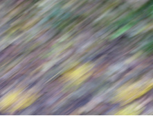 29.09.2008 11:02:57