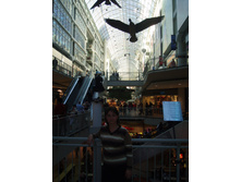 29.09.2008 19:54:58