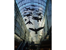 29.09.2008 19:55:09