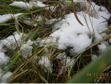 DSCN0056.jpg