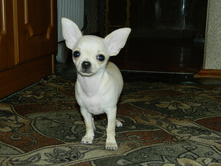 DSCN1410.JPG