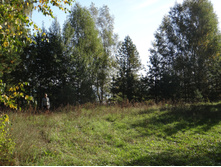 DSC00154.JPG