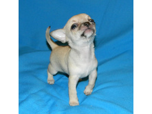 DSCN2215.JPG
