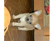 DSCN2197.JPG