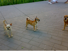 12072011684.jpg