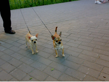12072011686.jpg