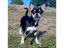 01072010459.jpg