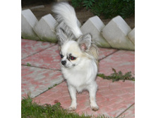 DSCN1789.JPG
