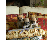 DSCN2327.JPG