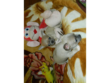 DSCN2187.JPG