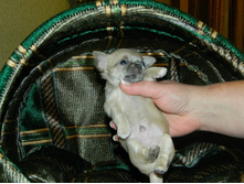 DSCN2120.JPG