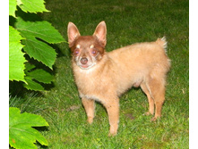 DSCN1802.JPG