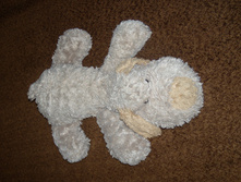 DSCN8431.JPG