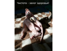 ����������.... �������...