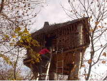 13.10.2008 14:28:54