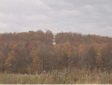 13.10.2008 14:31:06