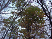 13.10.2008 14:38:26