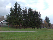 13.10.2008 14:39:43