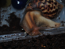 DSC_9288.JPG