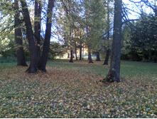 DC100926001.jpg