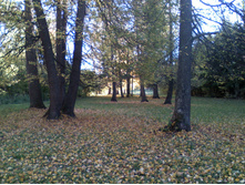 DC100926002.jpg