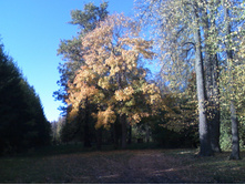 DC100926004.jpg