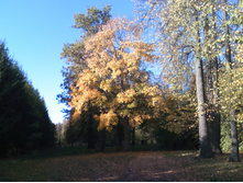 DC100926005.jpg