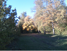 DC100926006.jpg