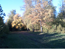 DC100926007.jpg