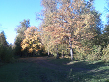 DC100926008.jpg