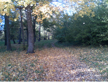 DC100926009.jpg