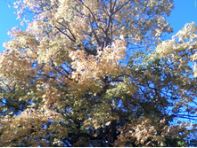 DC100926010.jpg