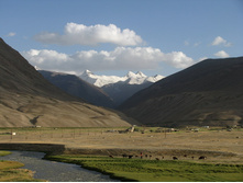 MG_5015.jpg