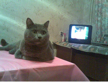 31122006.jpg