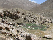 MG_5025.jpg