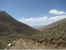 MG_5031.jpg