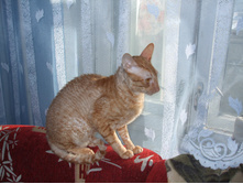 DSCF0570.jpg
