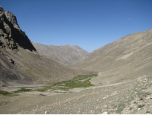 MG_5037.jpg