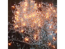 ��������������� \\