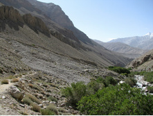 MG_5071.jpg