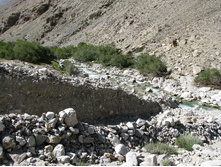 MG_5075.jpg