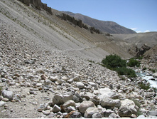 MG_5080.jpg