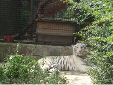 ����������� 227.jpg