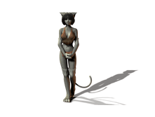 cat gray1.png