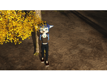 little in forest3.png